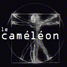 cam_s3.jpg (1833 octets)