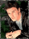 dav_bor.gif (5957 octets)